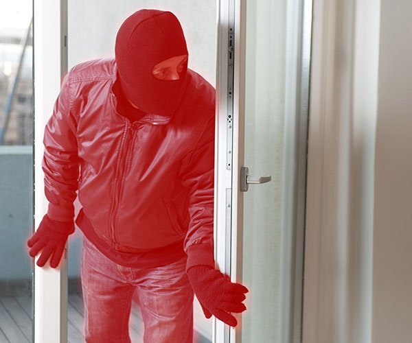 True Detect Heat & Motion Detection