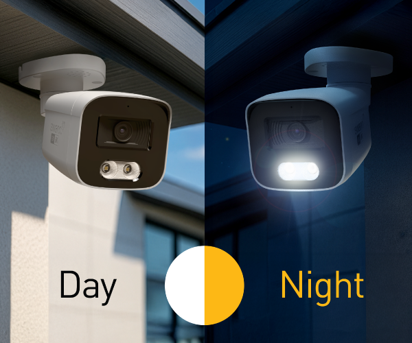 Proactive Crime Prevention